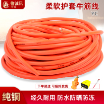 Pure copper wire waterproof flexible wire copper core beef tendon 2 core 2 54 square power supply electric vehicle charging wire complimentary socket