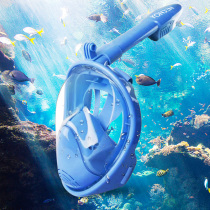 Swimming childrens diving lens mask full dry breathing tube full face mask 2-8 years old two color optional Y1929