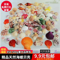 Conch shell starfish empty bottle material bag handmade diy wind chime perforated drifting bottle fish tank decoration hermit crab