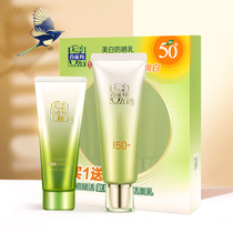 The bakkarta herb isolated sunscreen sunscreen anti - UV SPF 50