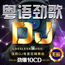 Car CD disc Cantonese dj Classic old songs Madden bass Chinese dj dance music car CD vinyl CD