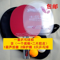 Special offer Ruikote comprehensive beginner table tennis racket combination solid wood base plate matching glue to send a set of balls