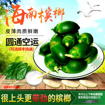 Hainan raw green fresh betel nut fruit king processing Xiangtan shop bulk dried wolfberry flavor Hold your mouth all over the world