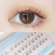 Segmented false eyelashes have been cut natural simulation makeup air fairy eye tail Net Red sunflower FD15