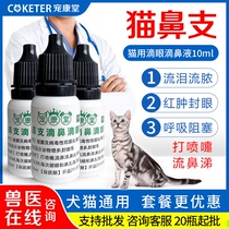  Treatment of cat tears eye shit cold sneezing runny nose eye water tear marks inflammation cat nose eye drops