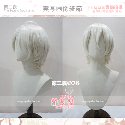 taobao agent Platinum comics, wig, 19 days, cosplay