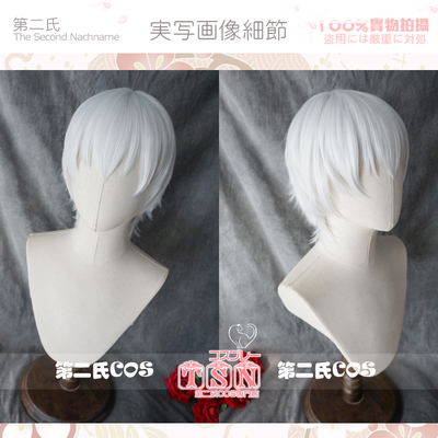 taobao agent [Second Men] Neil Mechanical Age 9S Silver White Turn Turn short hair COS wig M48