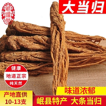 500 grams of Angelica whole root farm bulk all Angelica Chinese herbal medicine Angelica non-wild super big big