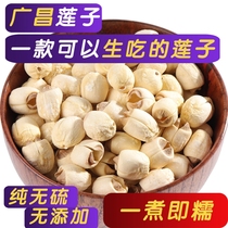 Natural hand-peeled and core-free sulfur-free super lotus seeds dry goods Guangchang specialties Tongxin white lotus seeds bagged