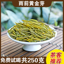 Gold Bud 2021 new tea on the market before the rain special Anji White Tea Green Tea 250g bulk Yu Ziheng