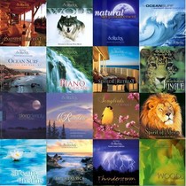 Nature Music Dan Gibson Dan Gibson 75CD format lossless audio source set Pure music New Century