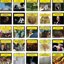 DG classical music Hires collection HiFi lossless 413 FLAC sub-track 24bit digital audio source DSD