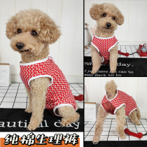 Bixiong Teddy Dog Pet Safety Pants Bitch Sanitary Pants Trousers Underpants Menstrual Aunt Pants Anti-Harassment
