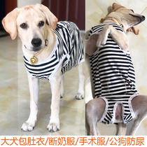 Large dog belly clothes Golden Labrador bitch weaning clothing belly cotton sterilization clothing belly protection