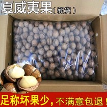 Hawaiian fruit box 5kg cream thin shell bag large particles bulk weight weight pregnant women nuts 10kg batch