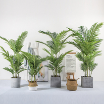 Scandinavian simulation green planting anemone anchovy sunflower Hawaiian Kui home shopping mall hotel window indoor landing potted plants