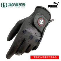 PUMA golf gloves Ferrari co-name golf mens single left hand glove lambskin soft and comfortable