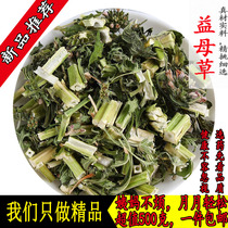 Motherwort Chinese herbal medicine grinding powder fresh dry motherwort tea female aunts standing can be matched with red date red sugar
