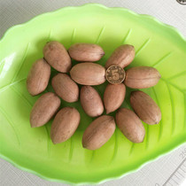 (New) raw bacon fruit full fresh taste good American walnut squirrel parrot tooth pet food