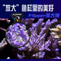 Maogling turn Libao flipper magnifying glass fish tank sea tank coral Observation Mirror magnetic absorption Macro Sea Fish Viewing