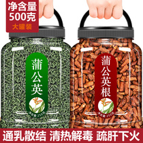 Dandelion Neocha root tea Premium Wild Tong breast female herbal tea Chinese Herbal material Detoxification