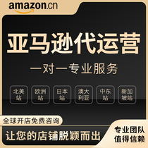  Amazon generation operation selection promotion one-stop Lazada Laizanda shopee shrimp skin cross-border online store hosting