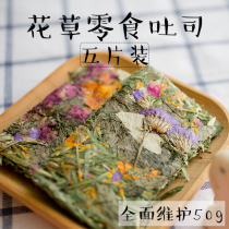Flower and grass snack toast 5 pieces full maintenance version rabbit guinea pig ChinChin edible heart small pet produced