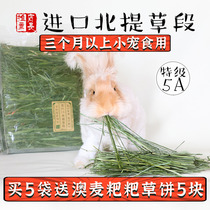 Import 5A drying north lifting grass section 1 lbs loaded with mosaurid grass rabbit guinea pig dragon cat main grass spot