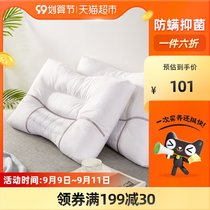 Boyang Home Textile Cotton Cassia pillow core to protect cervical spine Xinjiang cotton pillow double sleep support buckwheat pillow pair pair