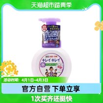 Lion King LION Japan Original Imported Children Baby Foam Except Bacteria Disinfection Sanitizer 250ml Flower Aroma
