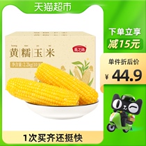 Yanzhifang yellow glutinous corn 10 sticky corn sweet waxy non-organic corn cob fresh sweet corn grain replacement