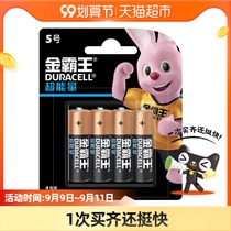 Golden Overlord AA5 battery alkaline battery 4 loaded mouse toy remote control mercury-free