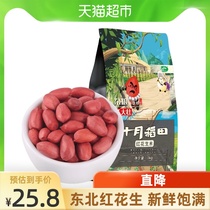 October rice field Red peanut raw rice 1kg whole grains Northeast whole grains peanuts Bean peanut raw rice Red skin raw peanuts