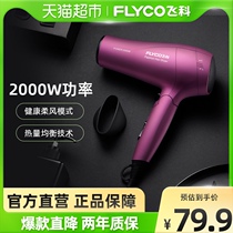 Fairo Electric Hair Dryer Home Hairdresshop Class Negative Ion High Power Student Dormitory Light Sound Blow Cylinder FH6618