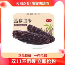 Yanzhifang grains Black glutinous corn sticky corn sweet glutinous corn cob 10 fresh glutinous corn nutrition meal replacement meal
