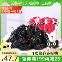 BESTORE Dried Black Mulberry 480g Premium Bubble Tea Ready-to-eat leave-in-the-box Mid-Autumn Festival gift health dried fruit