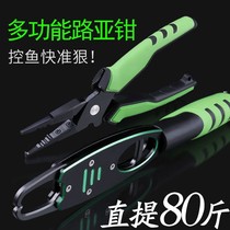 Multi-function fish control device with scale Road sub-clamp integrated pliers catch fishing pliers hook lengthy set control big fish clip
