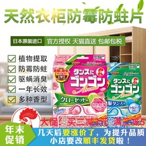 Golden bird KINCHO insect deworming film for wardrobe natural insect repellent film Japanese imported drawer without camphor