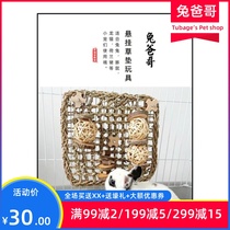 Rabbit Grinders Toy Dragon Cat Dutch Pig Cage Netty Protection Grass Mat Apple Wood Safe Nibble Toy Small Darling