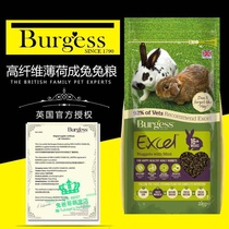Rabbit dad brother family British Burgess Buggers mint high fiber rabbit grain into rabbit feed into rabbit grain