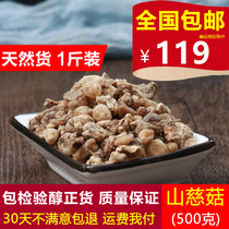 Shancii mushroom 500 grams of natural pure new Chinese herbal medicine Shan Ci Gu Mushroom Mushroom Mushroom Mushroom 500g can be beaten powder