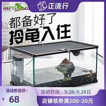 Tortoise tank drying platform water and land ecological tank household glass turtle breeding box Villa Brazil turtle water turtle living room small