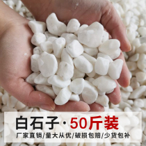 50kg of small white stones pebbles raw stones natural fleshy paving stones garden landscaping pots white stones
