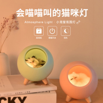 Sound cat pet house night light Cat Den USB charging atmosphere desktop bedroom bedside sleeping feeding lamp
