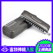 No diaphragm no mucosa Dongfang Ding forerunner 12-hole chromatic harmonica 1248NV beginner beginner introductory exercise