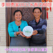 Li Mingyongs Yunnan Touchun Ancient Tree Puer Tea raw tea Cake Qizi Cake farm tea pure material arbor 357 grams