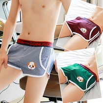 Tide brand loose mens underwear mens boxer pants cotton breathable pants scrotum support personality trend show boxer pants