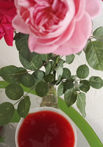 Dont deceive asparagus wine wild Asparagus Sun Simiao tonifying Yin essence filling bone marrow health prescription beauty wine JT