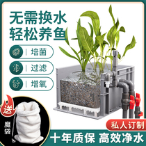 Marsh Filter Box Drop Streaming Box Homemade Turnover Box Small Tortoise Box Aquarium Filter Fish Pond Eco tank Full set