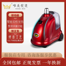 Beautiful F6 commercial high-power steam ironing machine clothing store household clothes ironing machine electric iron